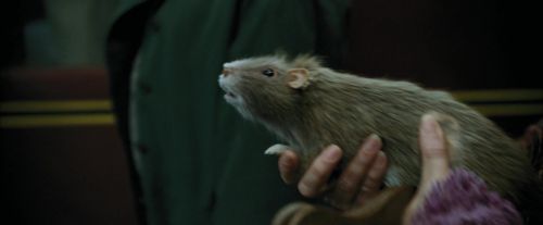 PdA-Potterish_1204.jpg