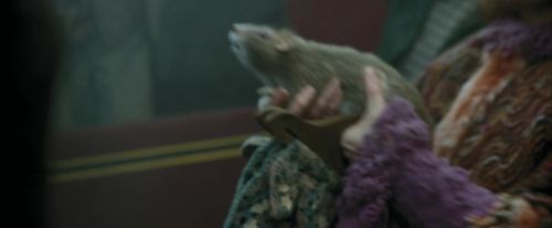 PdA-Potterish_1205.jpg
