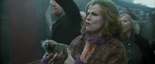 PdA-Potterish_1206.jpg