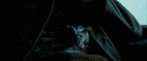 PdA-Potterish_1392.jpg