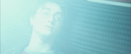 PdA-Potterish_1427.jpg