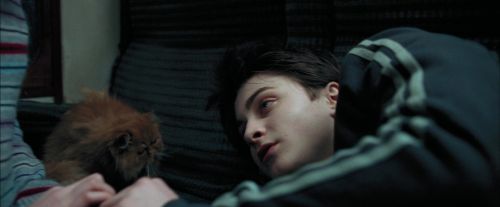 Click to view full size image
==============
PdA-Potterish_1444.jpg PdA-Potterish_1444.jpg