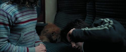 PdA-Potterish_1446.jpg