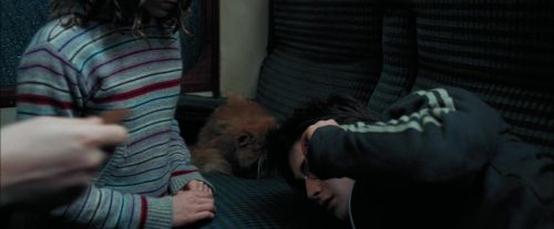 PdA-Potterish_1447.jpg