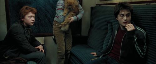 Click to view full size image
==============
PdA-Potterish_1483.jpg PdA-Potterish_1483.jpg