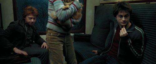 PdA-Potterish_1485.jpg