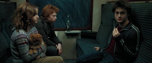 PdA-Potterish_1488.jpg