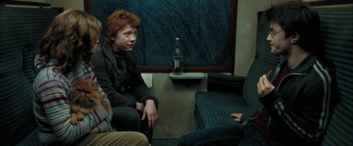 Click to view full size image
==============
PdA-Potterish_1491.jpg PdA-Potterish_1491.jpg