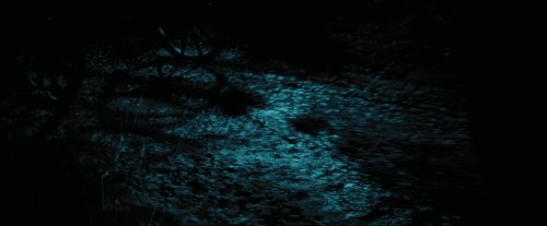Click to view full size image
==============
PdA-Potterish_1531.jpg PdA-Potterish_1531.jpg