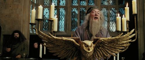 PdA-Potterish_1633.jpg