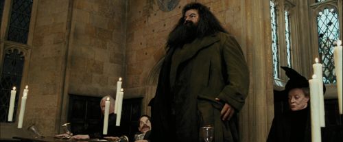 PdA-Potterish_1643.jpg