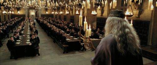 Click to view full size image
==============
PdA-Potterish_1702.jpg PdA-Potterish_1702.jpg