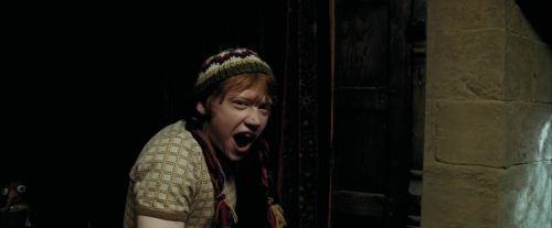 PdA-Potterish_1801.jpg