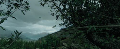 Click to view full size image
==============
PdA-Potterish_1852.jpg PdA-Potterish_1852.jpg