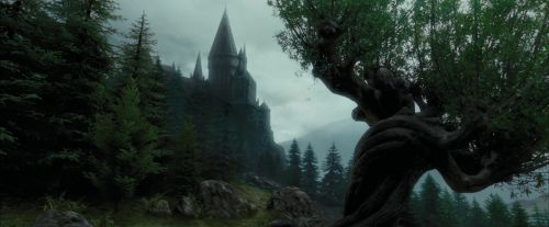 Click to view full size image
==============
PdA-Potterish_1855.jpg PdA-Potterish_1855.jpg