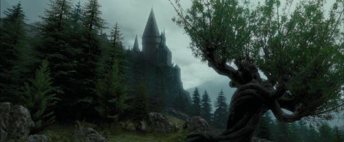 Click to view full size image
==============
PdA-Potterish_1859.jpg PdA-Potterish_1859.jpg