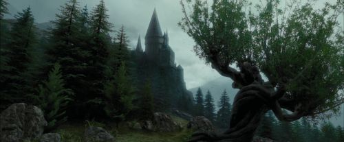 Click to view full size image
==============
PdA-Potterish_1860.jpg PdA-Potterish_1860.jpg