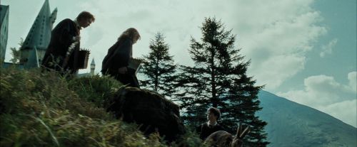 PdA-Potterish_2017.jpg