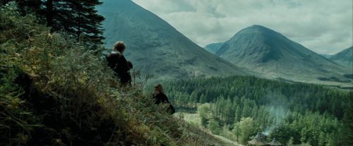 Click to view full size image
==============
PdA-Potterish_2024.jpg PdA-Potterish_2024.jpg