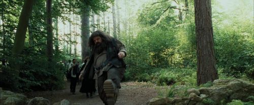 Click to view full size image
==============
PdA-Potterish_2046.jpg PdA-Potterish_2046.jpg