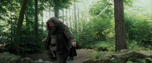 PdA-Potterish_2047.jpg