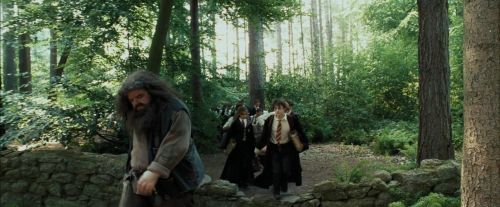 PdA-Potterish_2049.jpg
