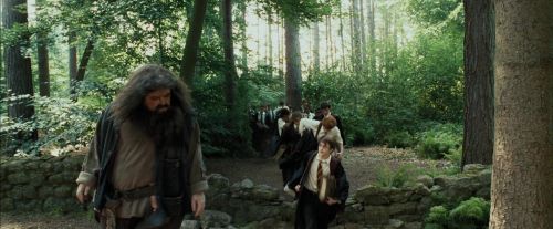 Click to view full size image
==============
PdA-Potterish_2050.jpg PdA-Potterish_2050.jpg