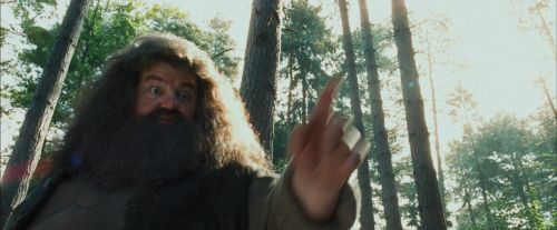 PdA-Potterish_2054.jpg