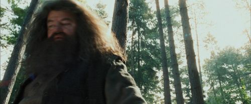 Click to view full size image
==============
PdA-Potterish_2055.jpg PdA-Potterish_2055.jpg