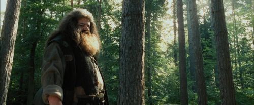 PdA-Potterish_2059.jpg