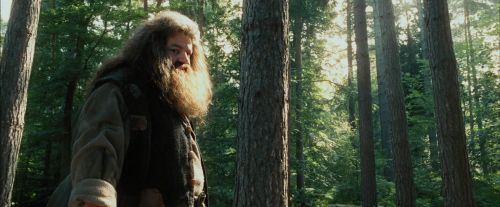 PdA-Potterish_2060.jpg