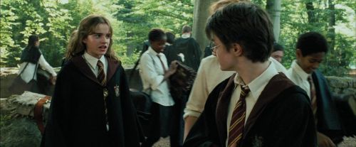 PdA-Potterish_2081.jpg