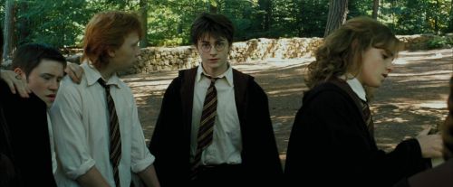 PdA-Potterish_2091.jpg
