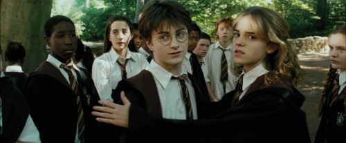 Click to view full size image
==============
PdA-Potterish_2117.jpg PdA-Potterish_2117.jpg