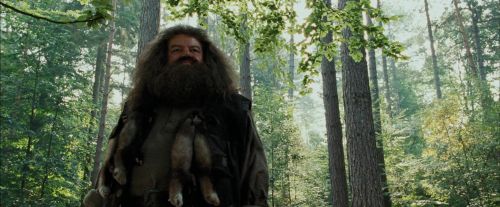 Click to view full size image
==============
PdA-Potterish_2125.jpg PdA-Potterish_2125.jpg