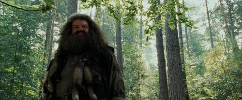 Click to view full size image
==============
PdA-Potterish_2126.jpg PdA-Potterish_2126.jpg