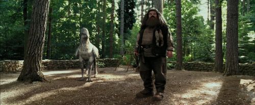 Click to view full size image
==============
PdA-Potterish_2135.jpg PdA-Potterish_2135.jpg
