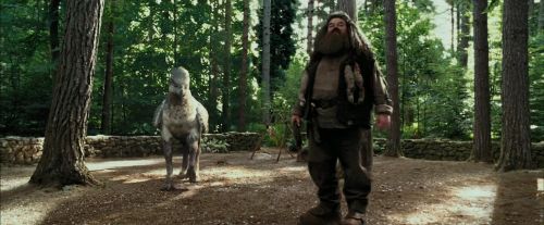 Click to view full size image
==============
PdA-Potterish_2136.jpg PdA-Potterish_2136.jpg