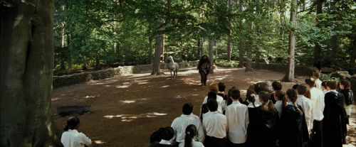 PdA-Potterish_2145.jpg