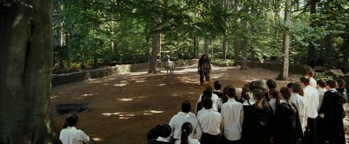 PdA-Potterish_2146.jpg