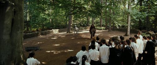 Click to view full size image
==============
PdA-Potterish_2147.jpg PdA-Potterish_2147.jpg