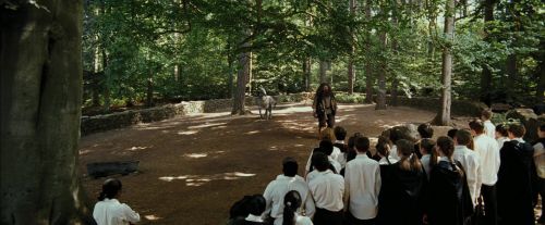 PdA-Potterish_2149.jpg