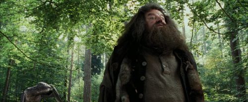 PdA-Potterish_2156.jpg