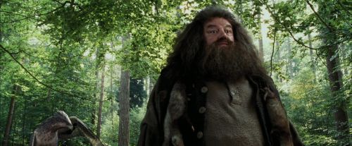 PdA-Potterish_2157.jpg