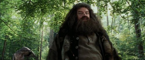 PdA-Potterish_2158.jpg