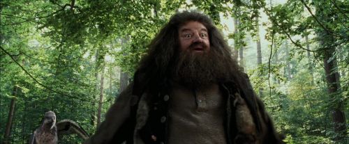 Click to view full size image
==============
PdA-Potterish_2159.jpg PdA-Potterish_2159.jpg
