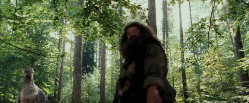 Click to view full size image
==============
PdA-Potterish_2163.jpg PdA-Potterish_2163.jpg