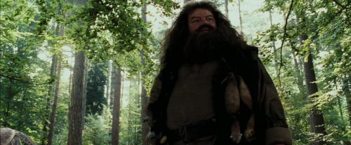 PdA-Potterish_2164.jpg