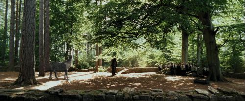 Click to view full size image
==============
PdA-Potterish_2174.jpg PdA-Potterish_2174.jpg