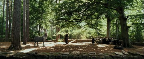 PdA-Potterish_2178.jpg